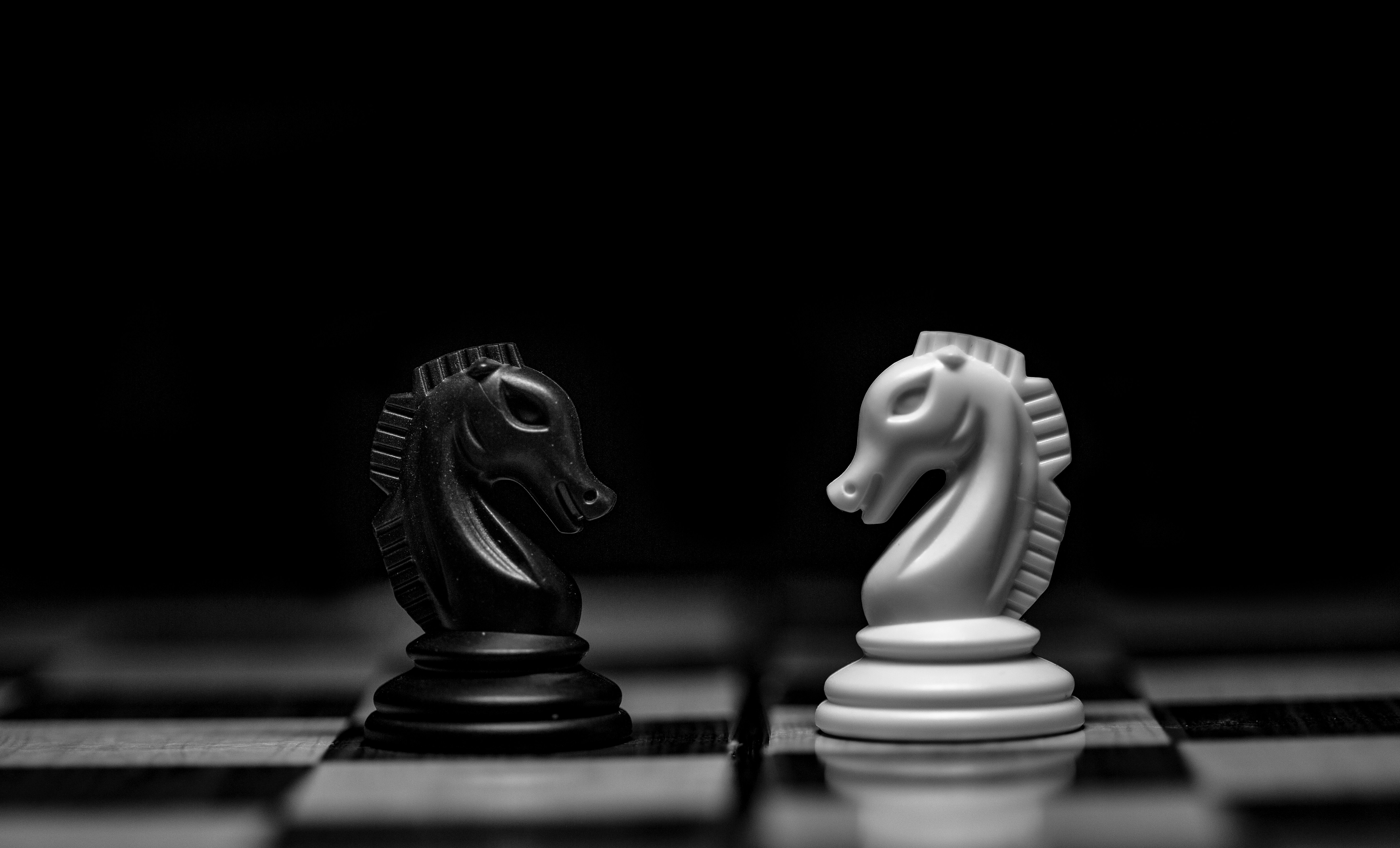 World Chess Day