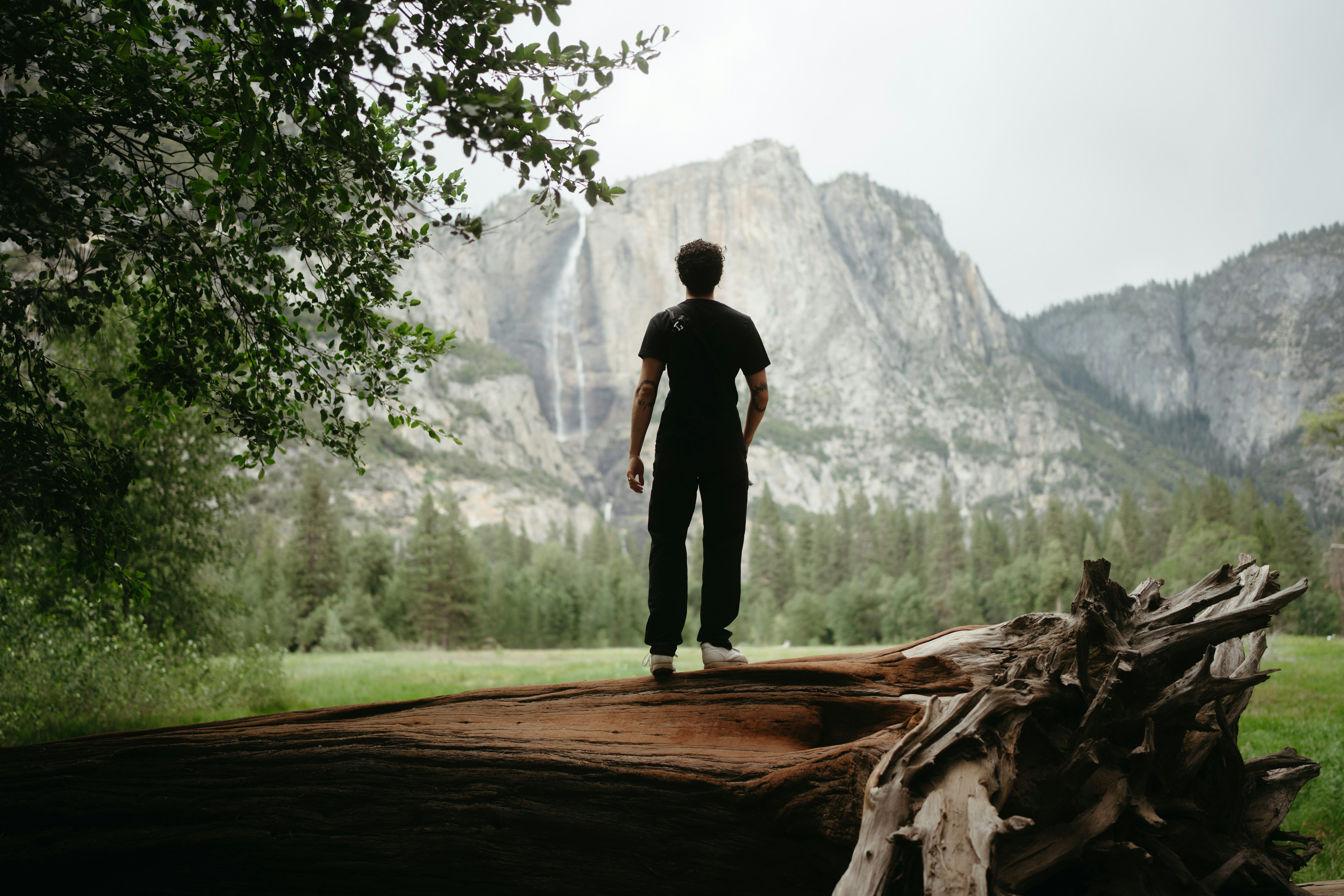 Finding Your Calm